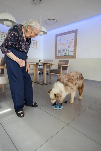 Une résidente et un chien zoothérapie à l'EHPAD de la Cyprière près de Montpellier
